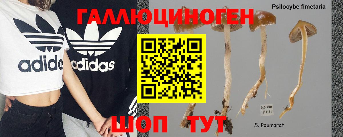 Псилоцибиновые грибы мицелий Армавир