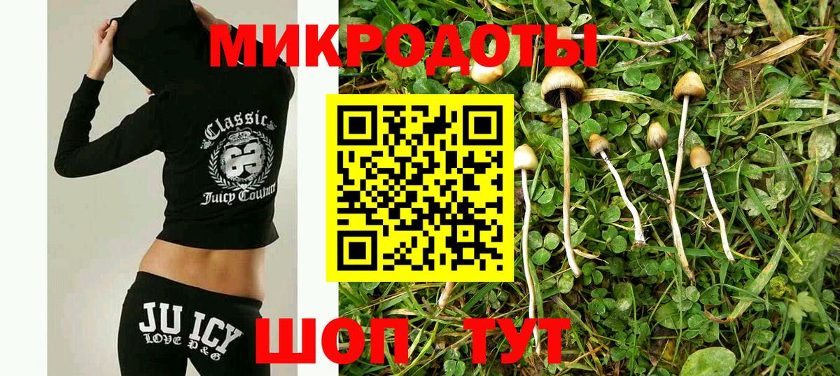 Армавир  Галлюциногенные грибы GOLDEN TEACHER  Вход с VPN 