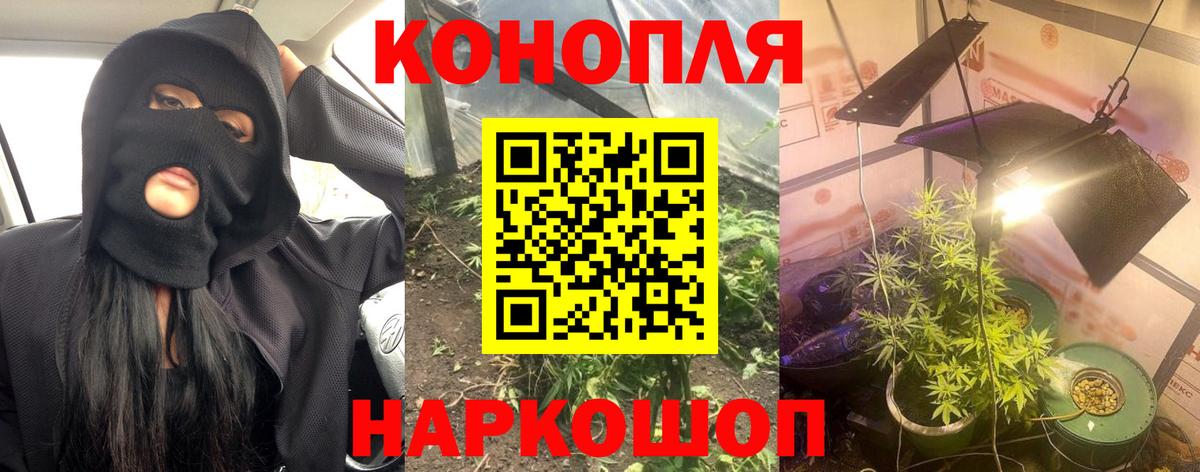Бошки Шишки LSD WEED  Вход с VPN  МАРИХУАНА White Widow  Армавир  Конопля семена 